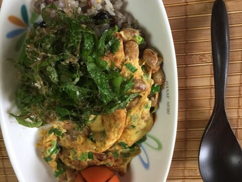 夏でも元気出る出る納豆オムレツプレート